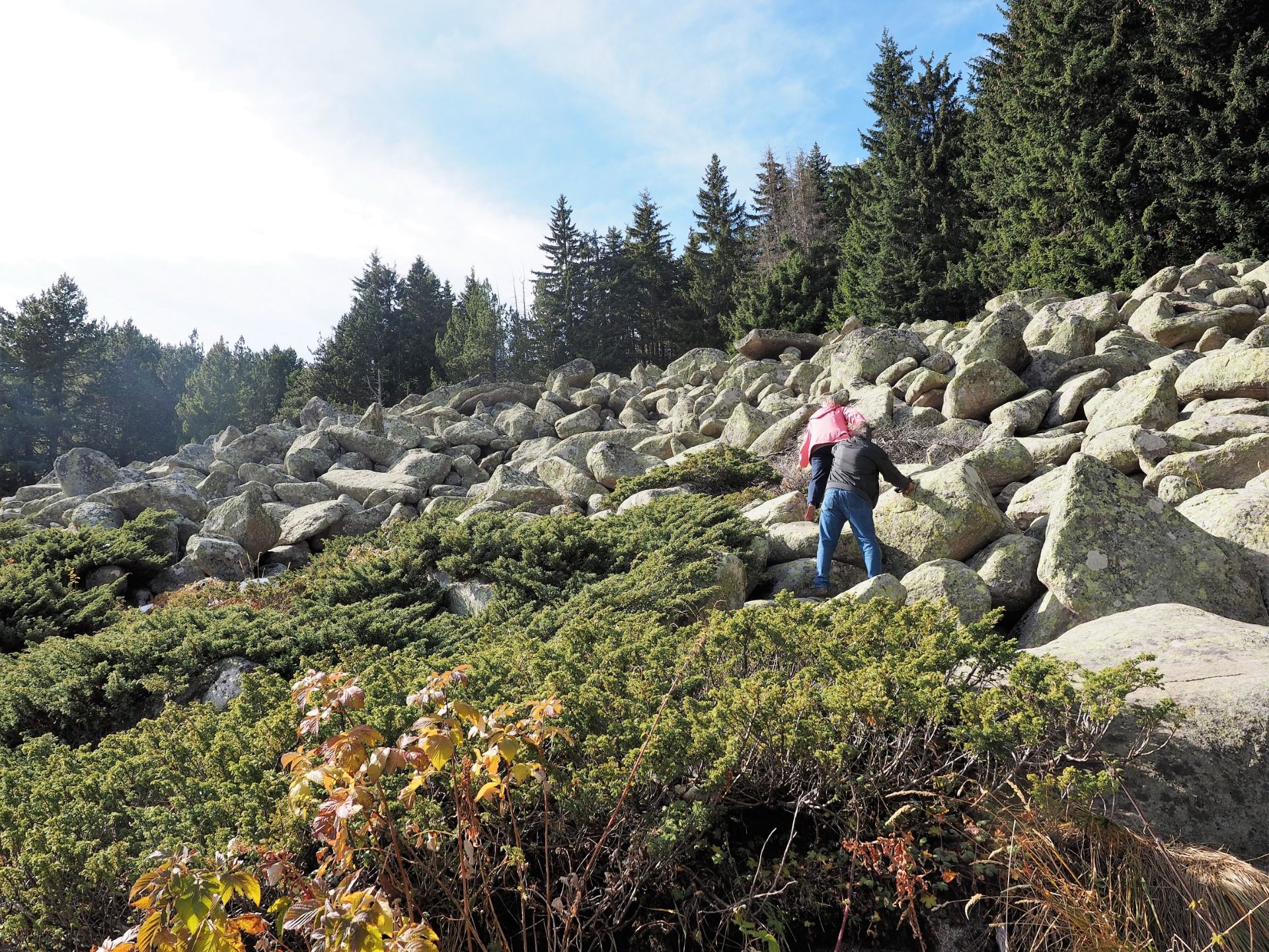 There are no roads ... this is to take a photo🙂