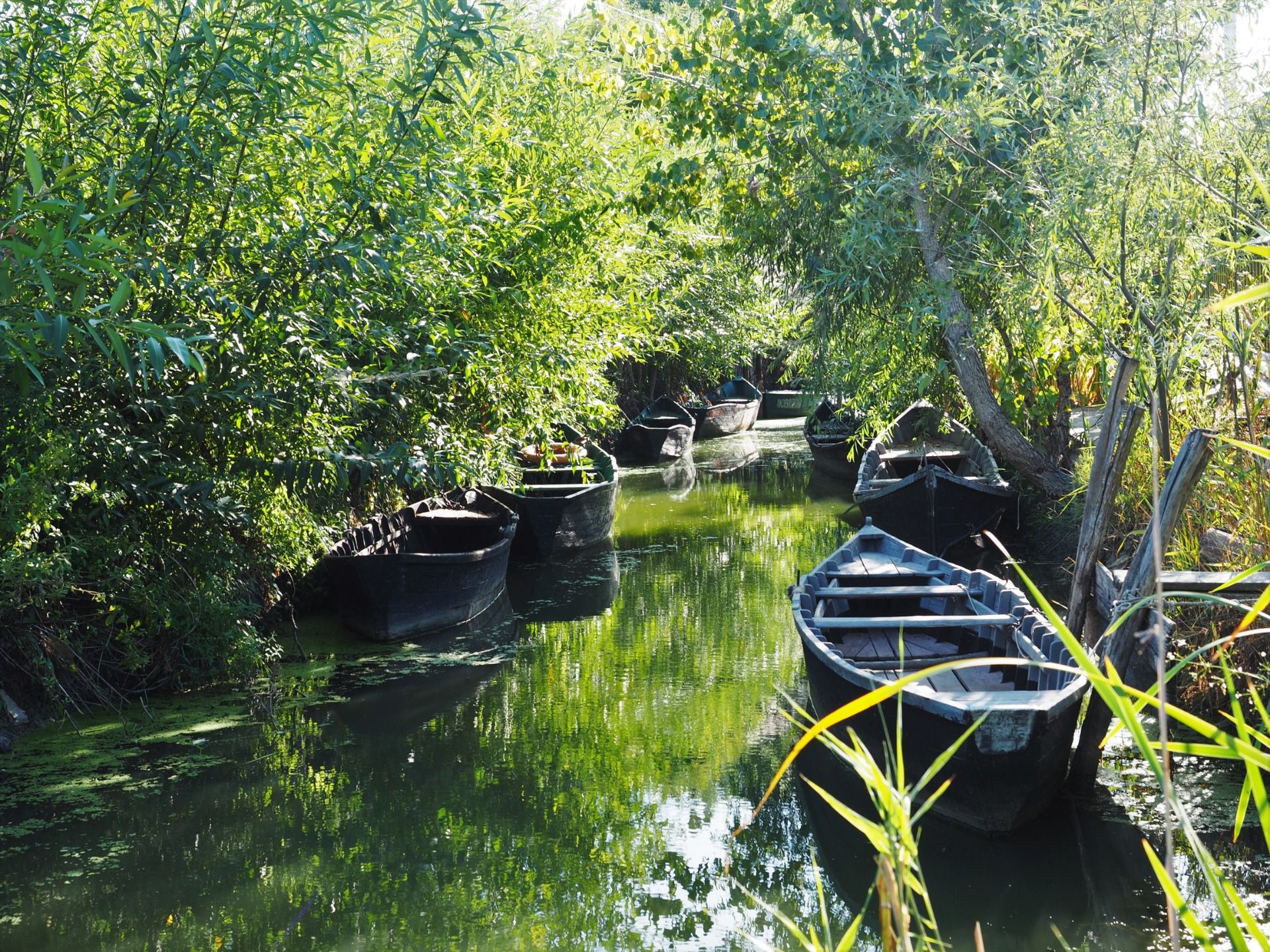 City on the water. Canals of Vilkovo