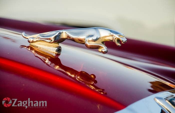 Vintage Car Show