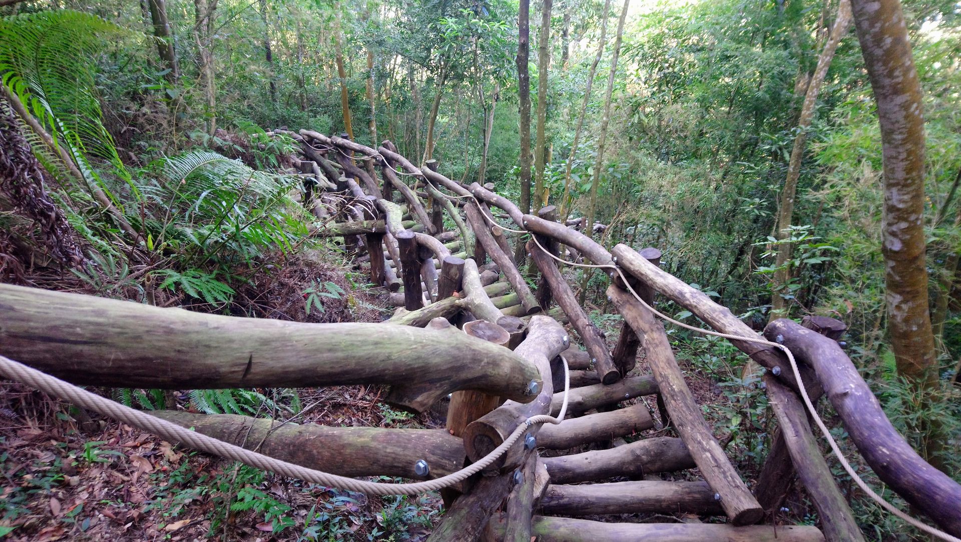 Autumn hike at Dakeng trail 5, Taiwan