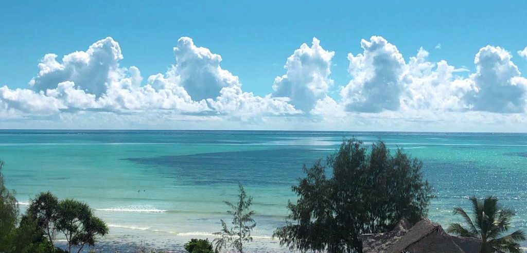 8 Months in Zanzibar, & counting :)