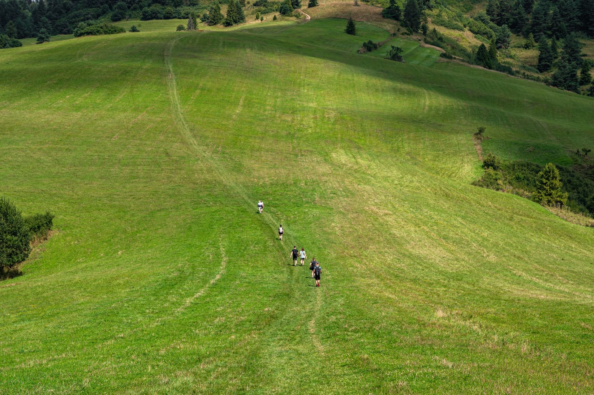 Odcinek szlaku na rozległym pastwisku / A section of the trail in a vast pasture