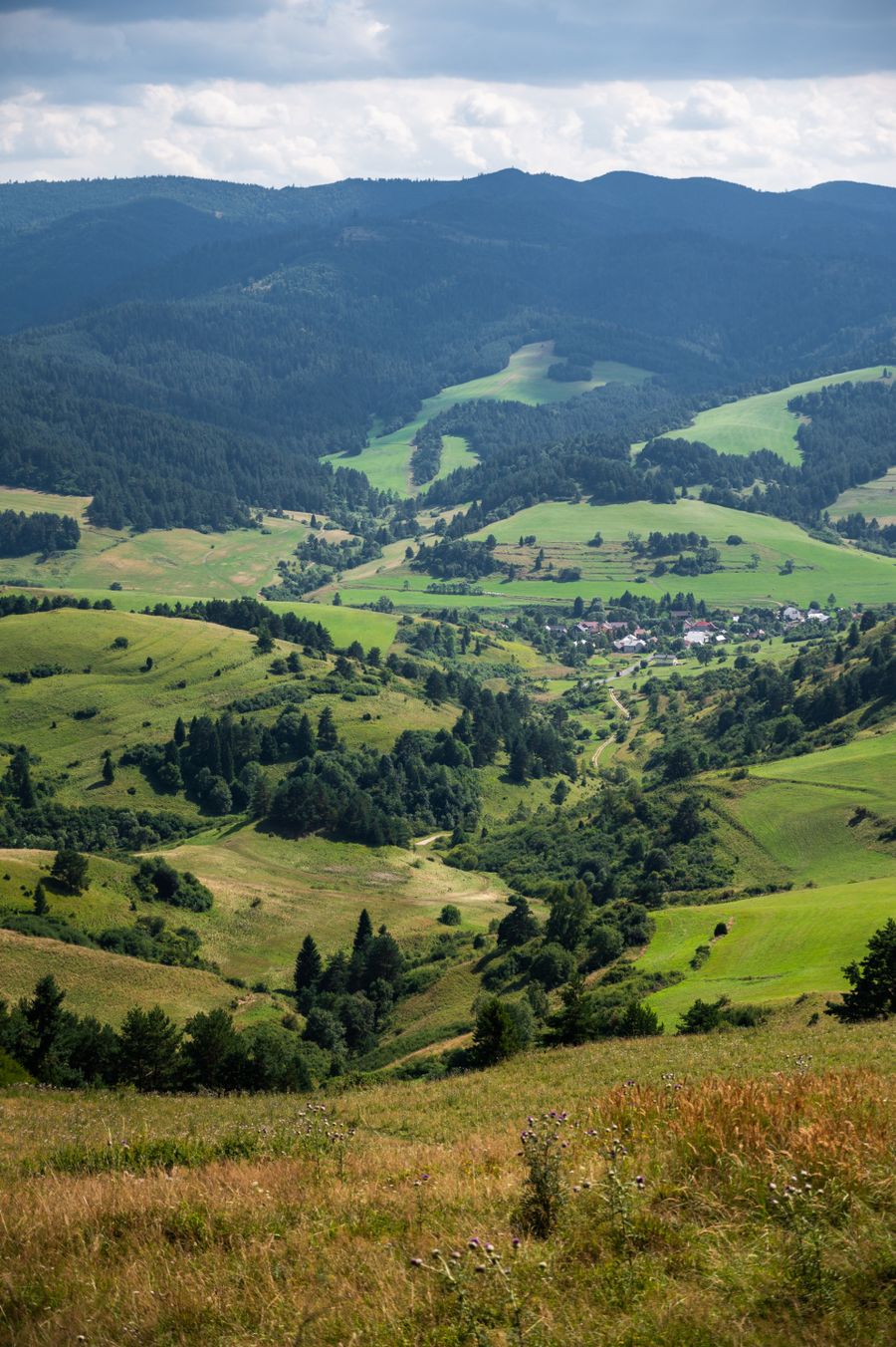 Widok w kierunku południowym. / View towards the south.