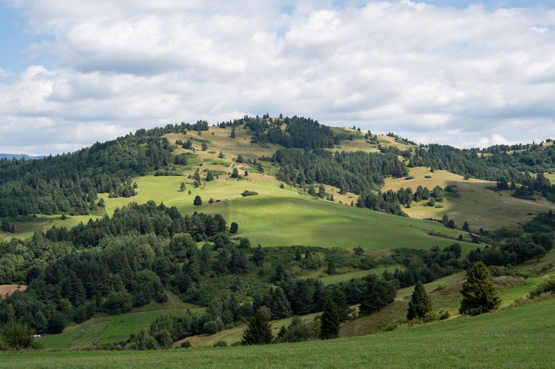 Wysoki Wierch od południa / Wysoki Wierch from the south