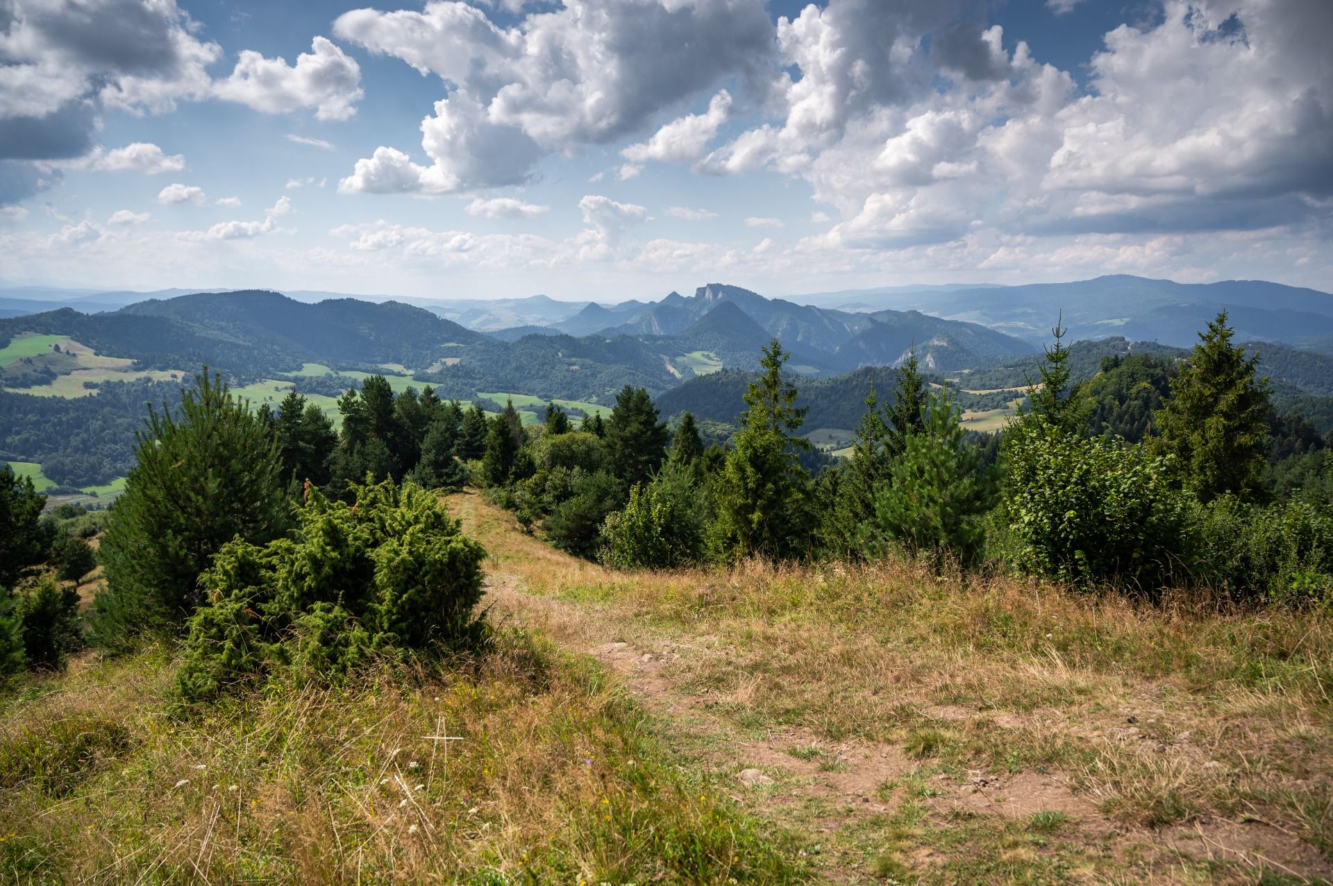 Widok na zachód z Trzema Koronami w roli głownej. View to the west with the Trzy Korony in the main role.