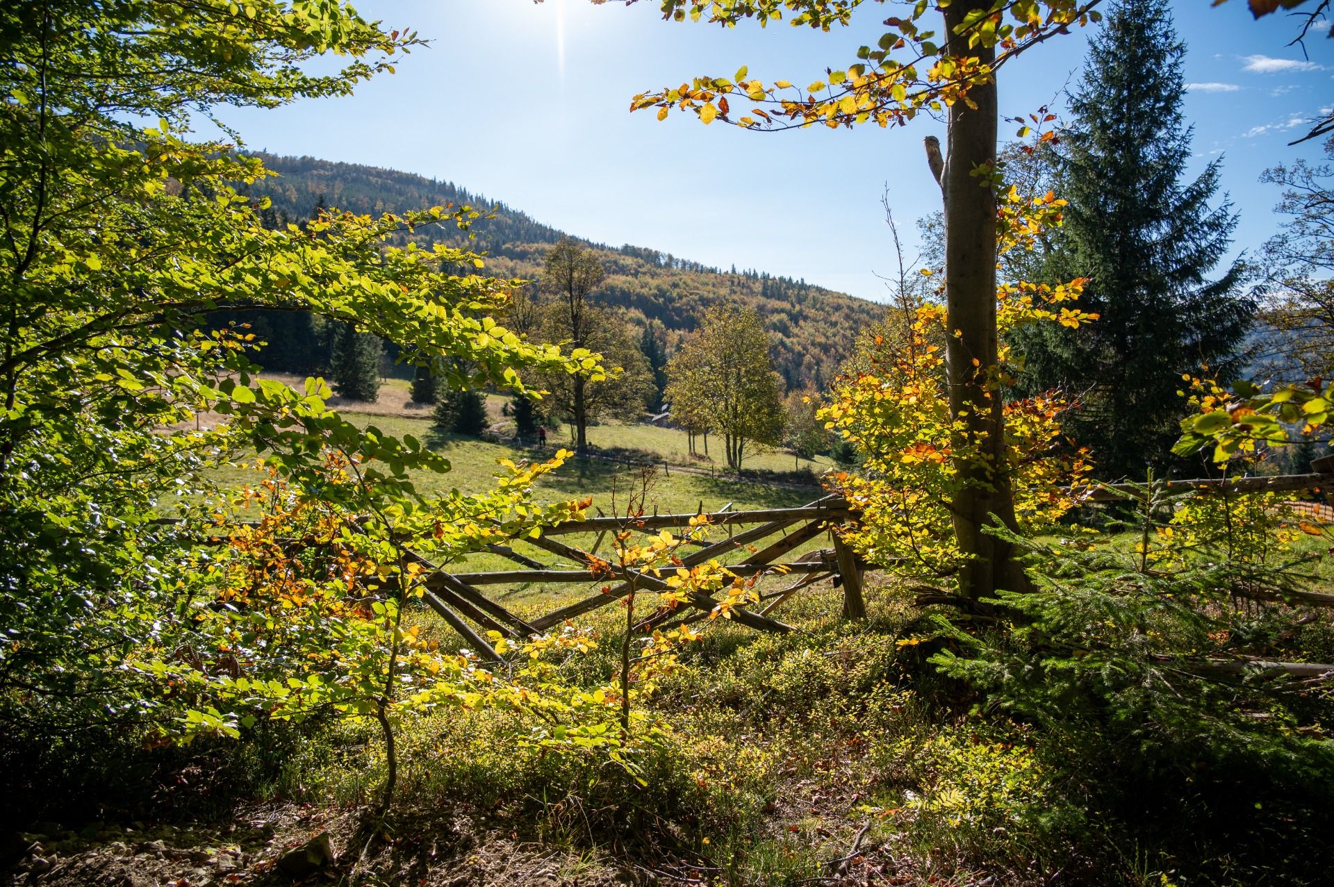 [TREKKING] Hala Kamińskiego i Mędralowa.