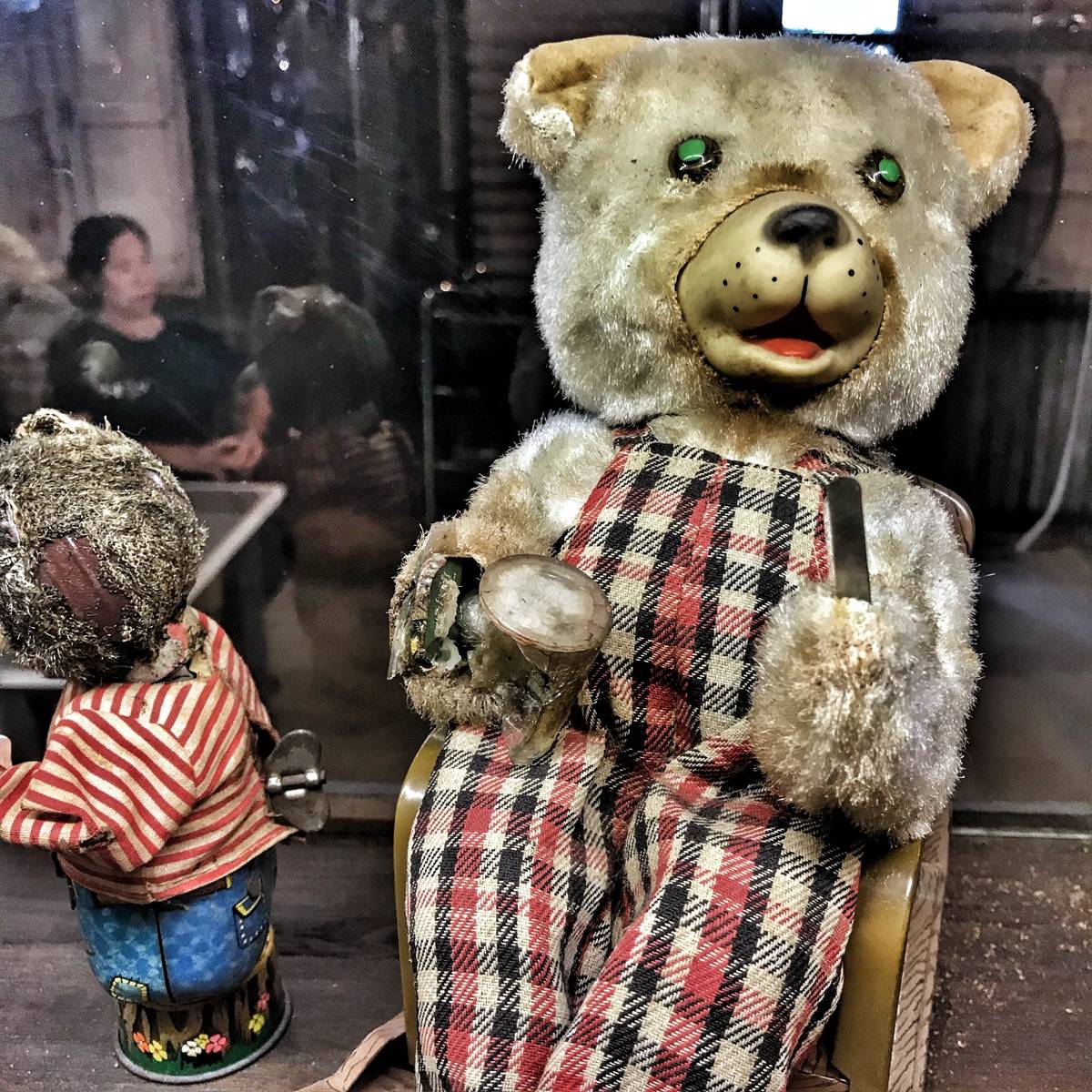 Does anyone want a new creepy teddy for their kids?