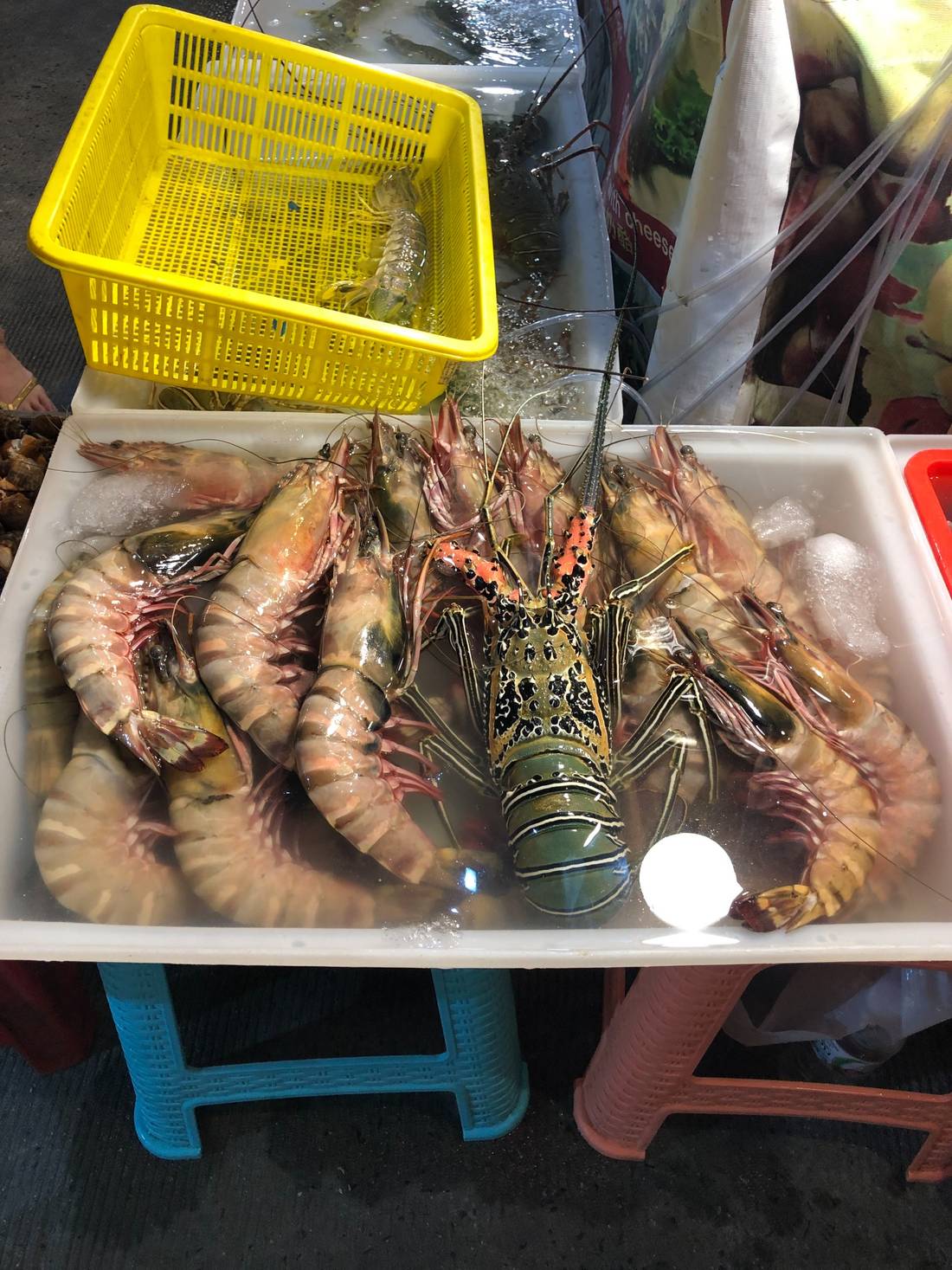 Don’t miss the chance to try a fresh lobster while in Patong
