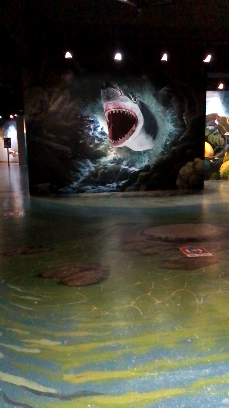 This shark is animated when you use the AR app for the museum!