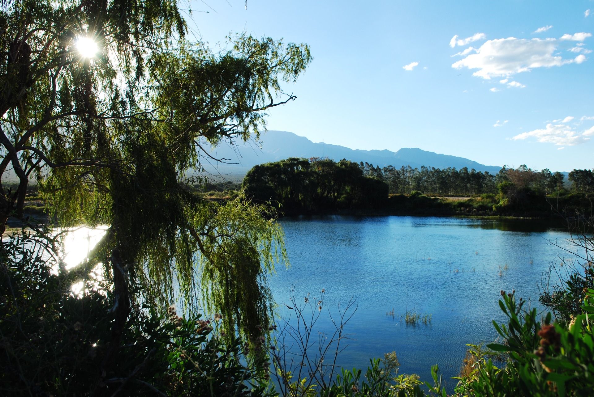 A pocos kilómetros de Cafayate, el territorio de las montañas coloradas impactantes, a tres horas en auto desde Salta Capital, encontramos en el norte andino de Argentina un pueblo mágico lleno de caminatas por encontrar entre viñas y paz.