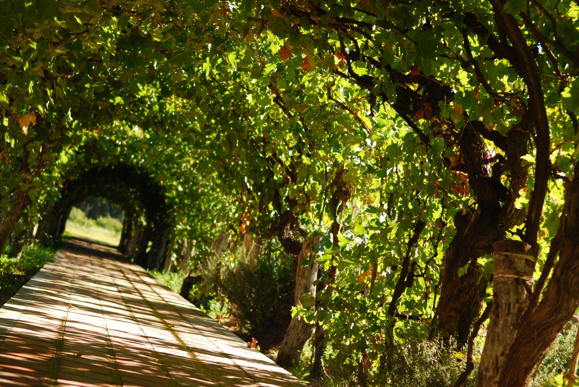 El pueblo de los duendes