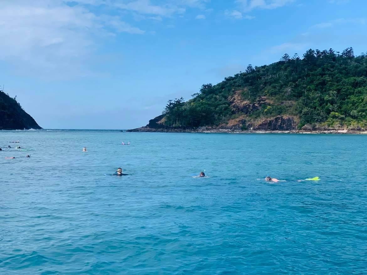 Snorkelling on the edge of the Great Barrier Reef. Saw an array of different fish swimming around, lots of different colours too.