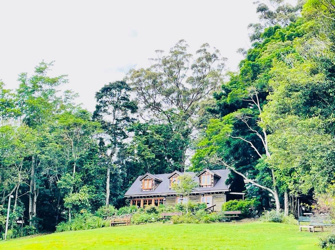 Binabara Lodge - This is located right at the entrance to the national park. It’s popular with hikers that want to stay a couple nights, as there are numerous different day hikes from this entry point.