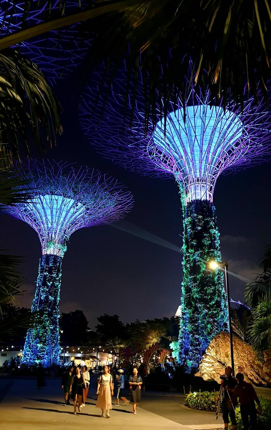 Lights, nature and super trees at Gardens by the Bay