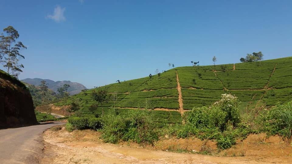 A tour of the beautiful Bogawantalawa town surrounded by tea estates in Sri Lanka.