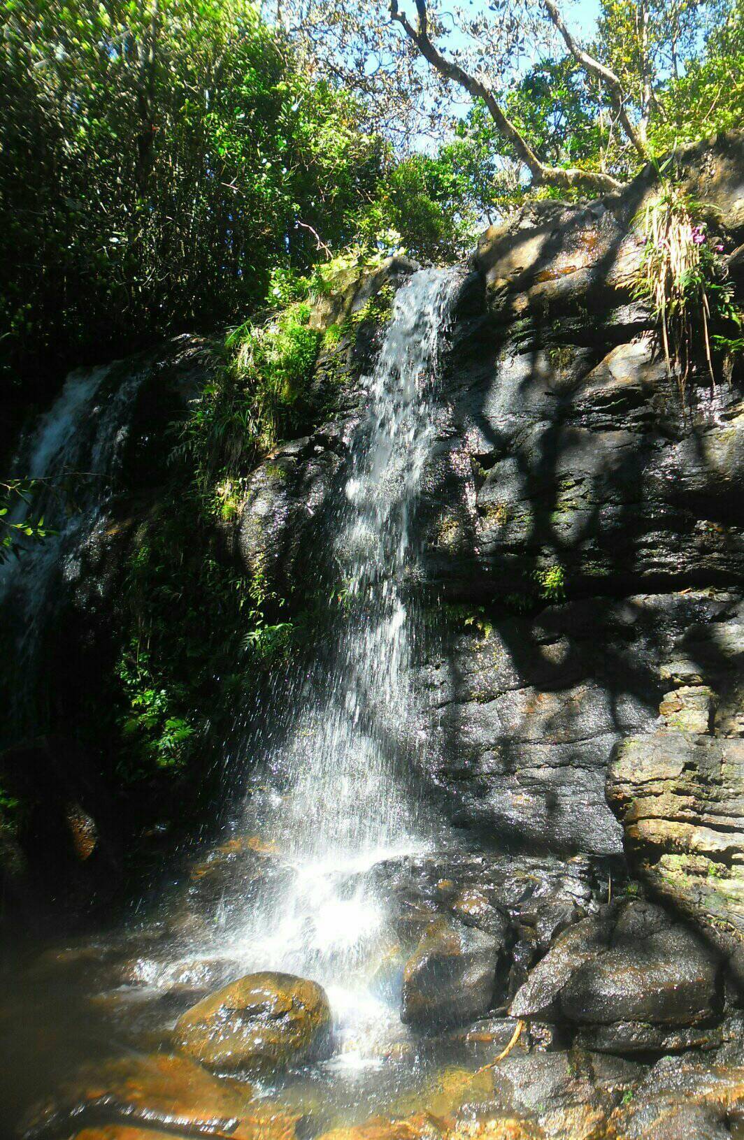 Find the Battalu Oya waterfall hidden in the Siripa forest reserve
