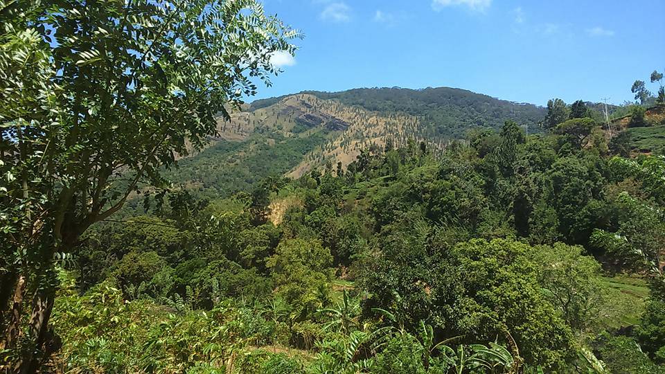 A 360 ° view of the mountain, easily accessible, with memories of Mount Hawagala in Sri Lanka.