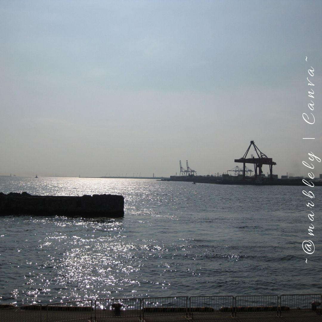 Looking back - my trip to Osaka Aquarium Kaiyukan