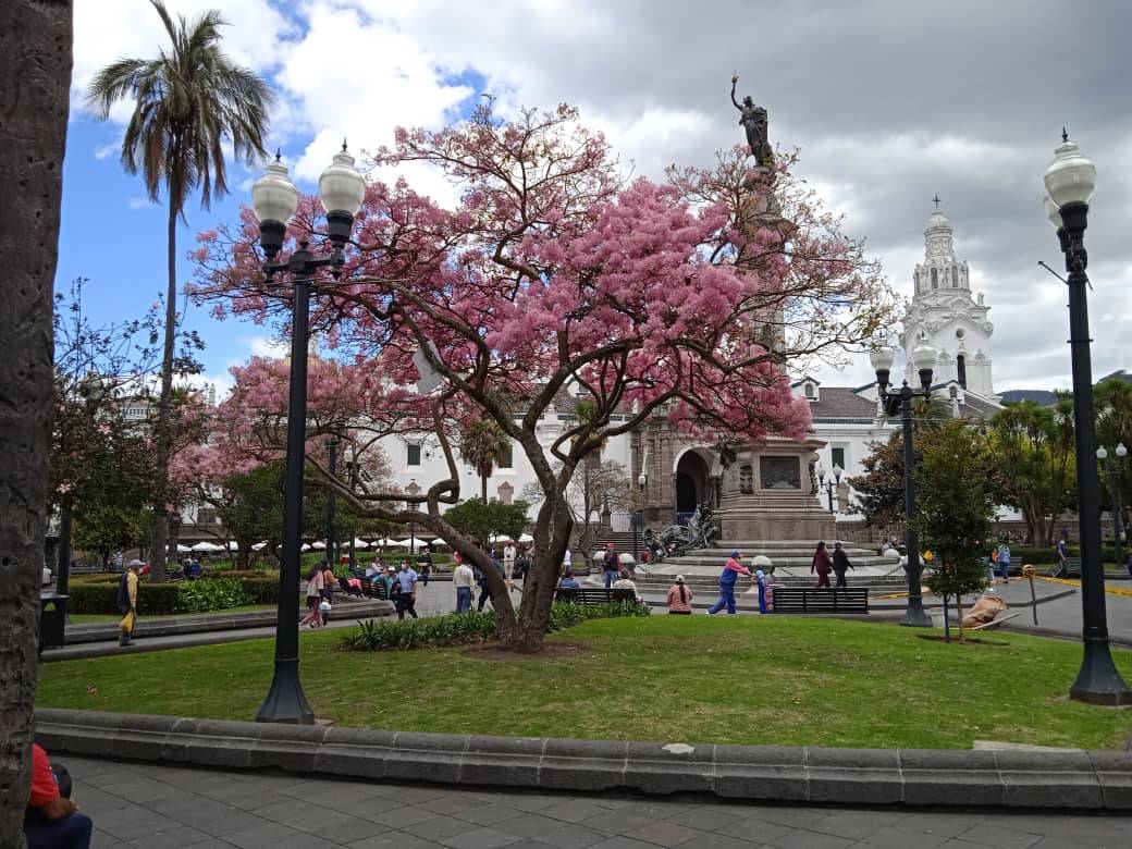 A tour of the spectacular historical center of the City of Quito! [I]

