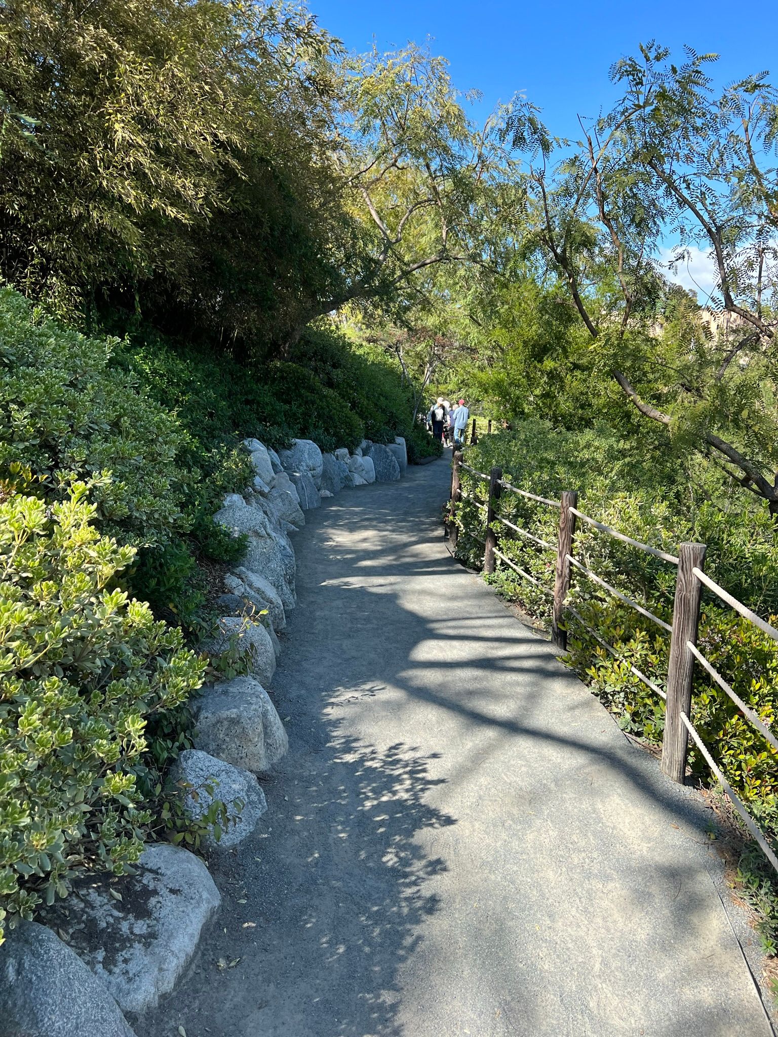 IMG_0051.jpeg