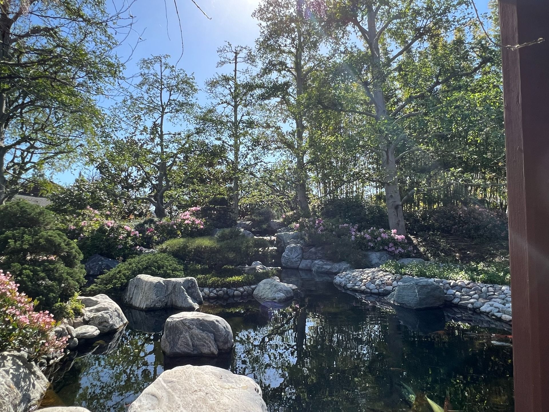 IMG_0030.jpeg