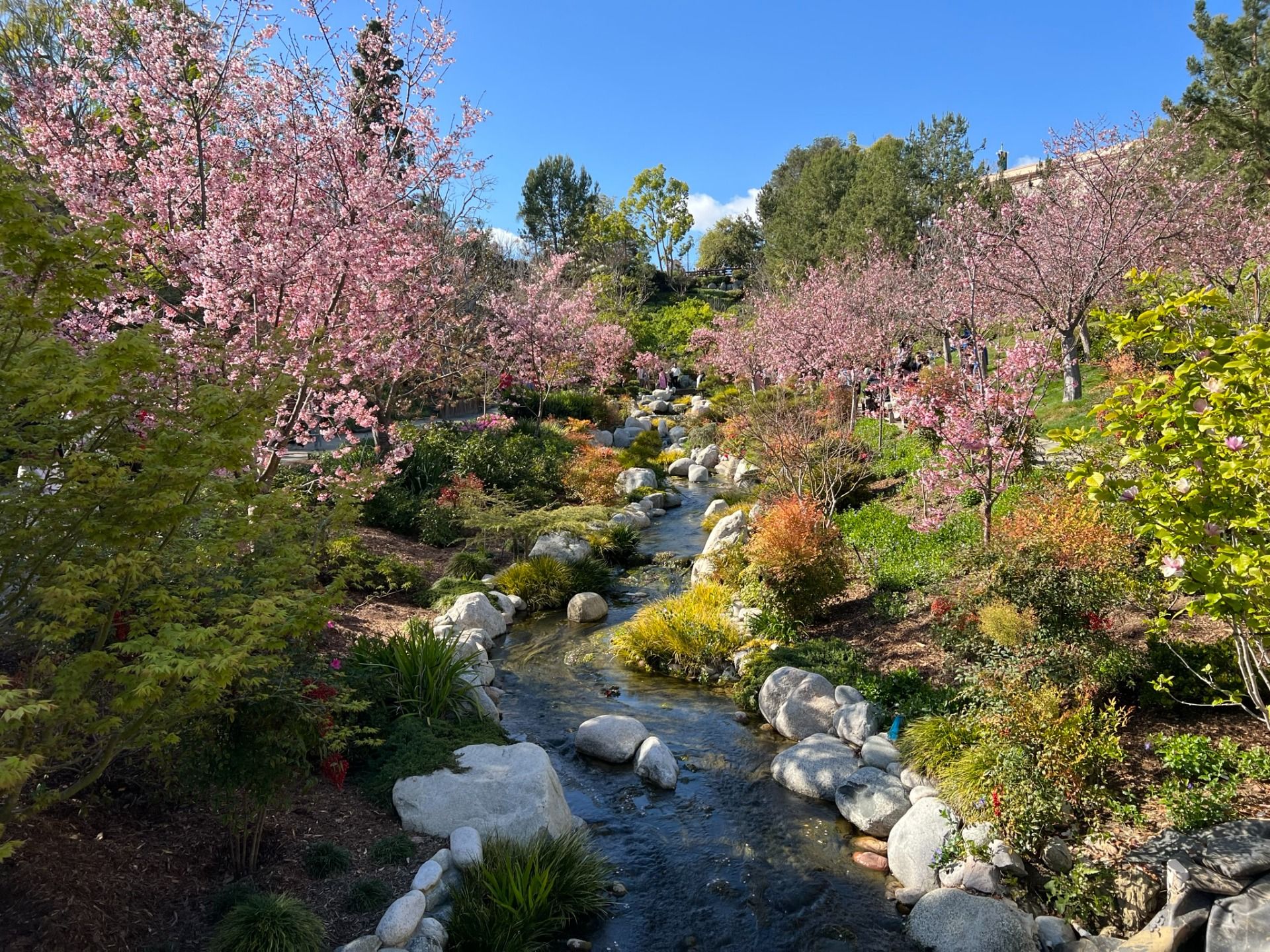 Japanese Friendship Garden San Diego [EN/PT-BR]