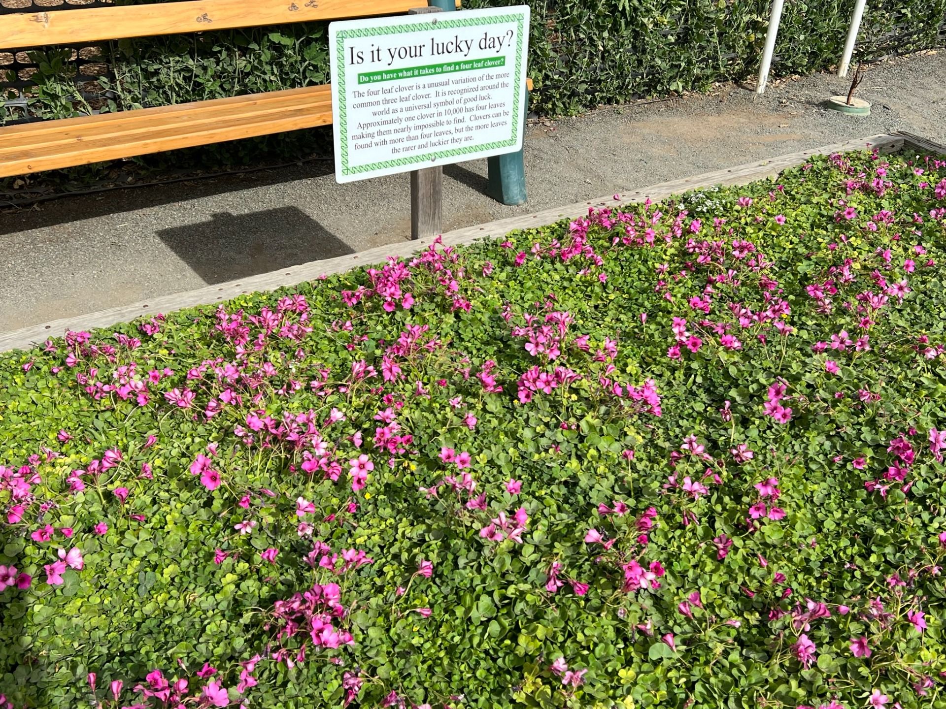IMG_0603.jpeg