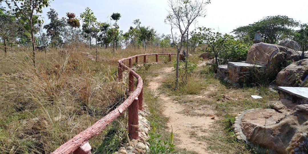 Image taken from World Orgs. Natural surroundings around Rock Garden in Melkote