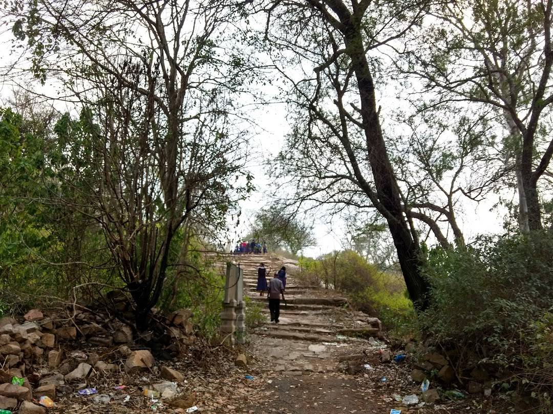 Image taken from World Orgs. This is the path to Roya Gopura