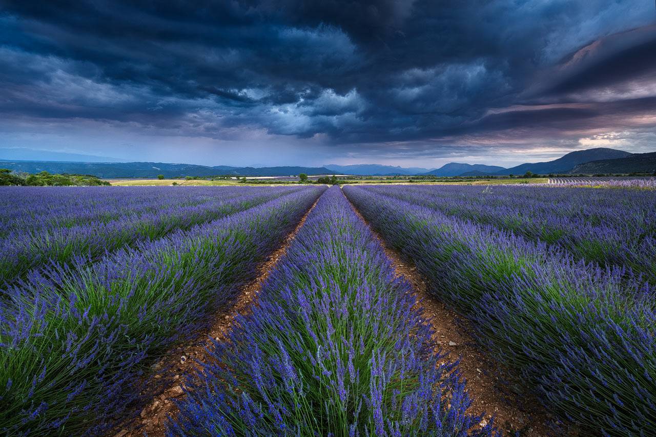 Photographing France - Valensole