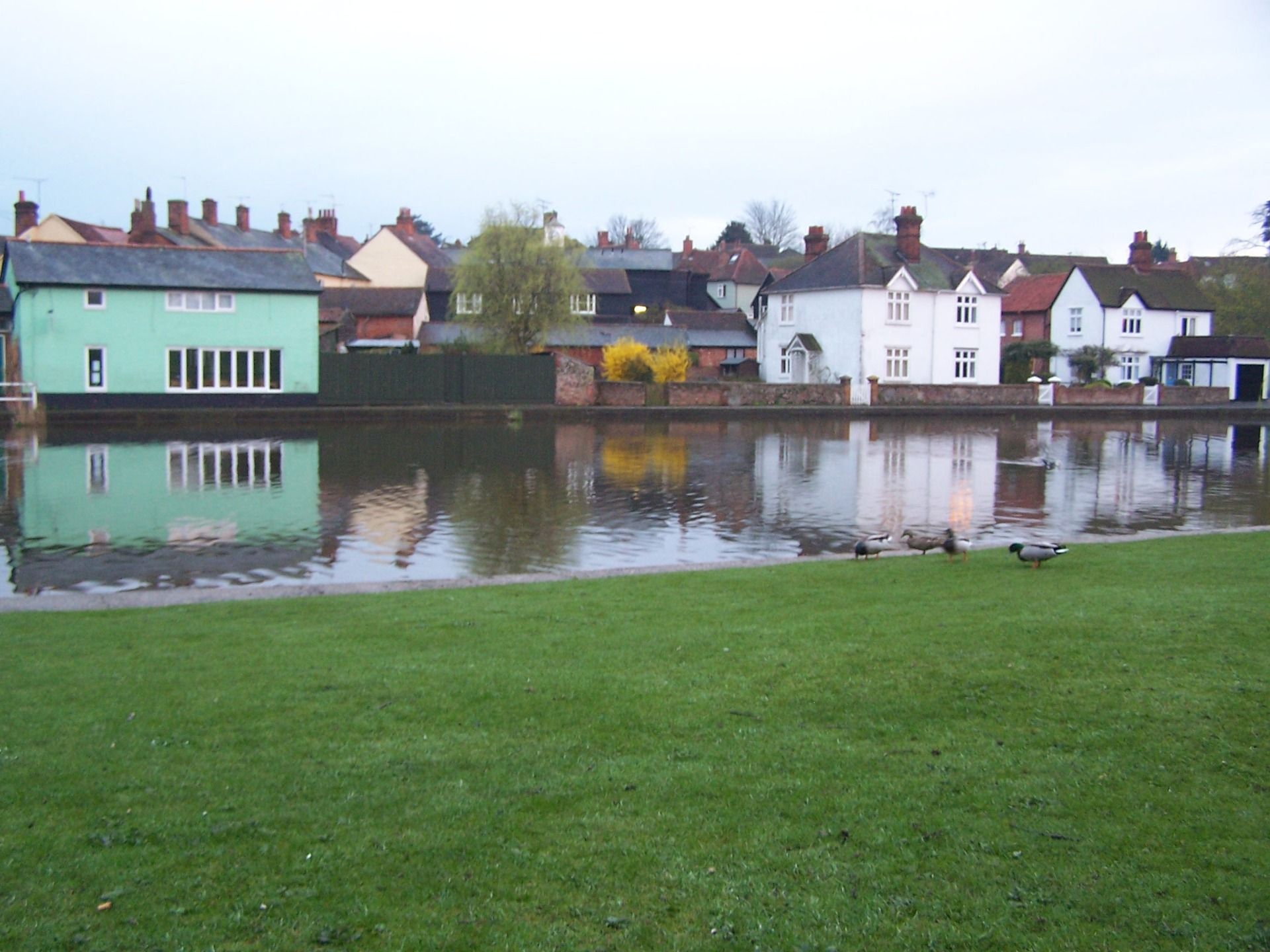 Doctors Pond
