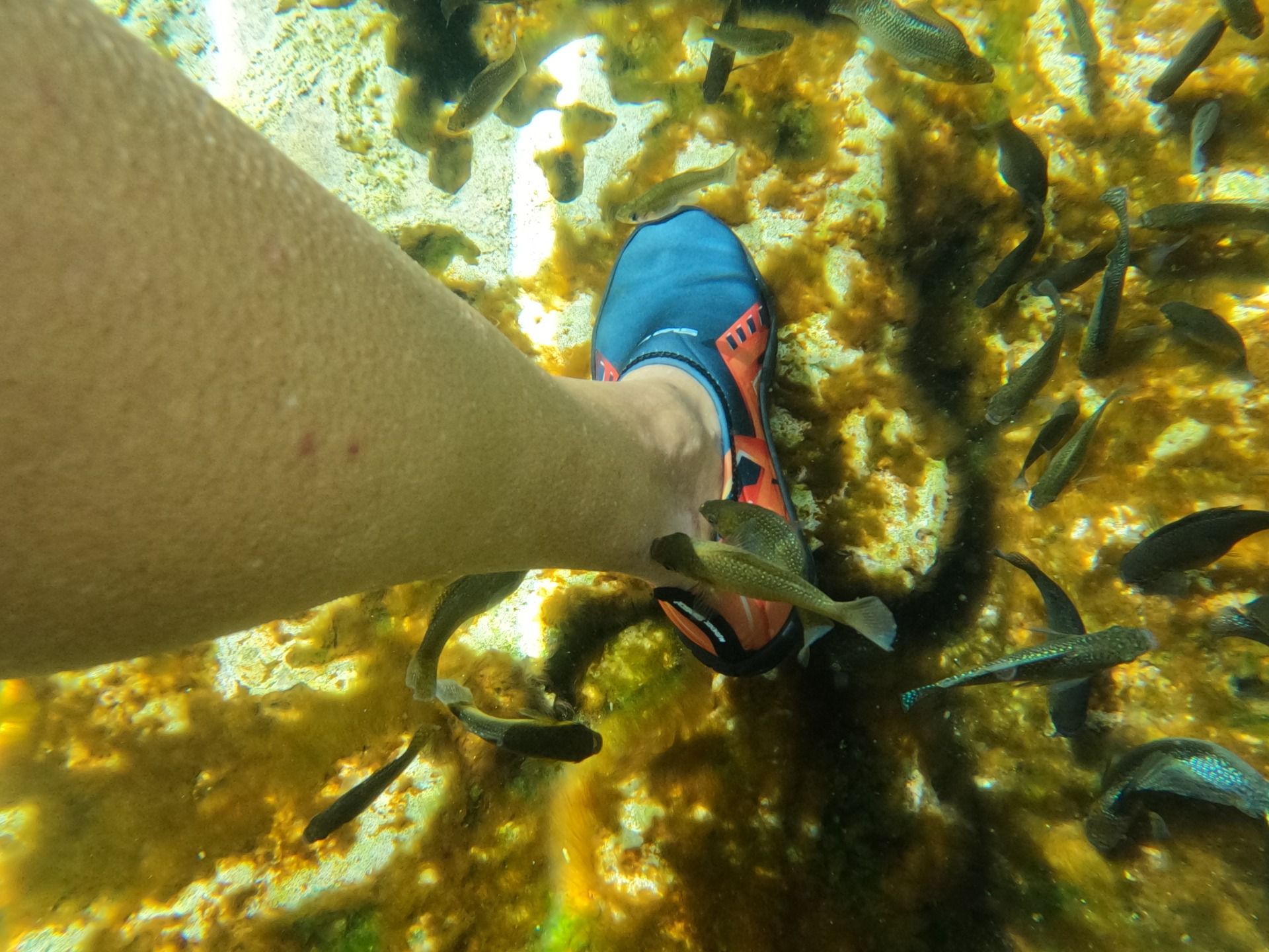 And if you’re lucky, you might even get a fish foot spa, all free of charge! They nibble on the dead skin on your legs or feet. It’s a bit tickly though!