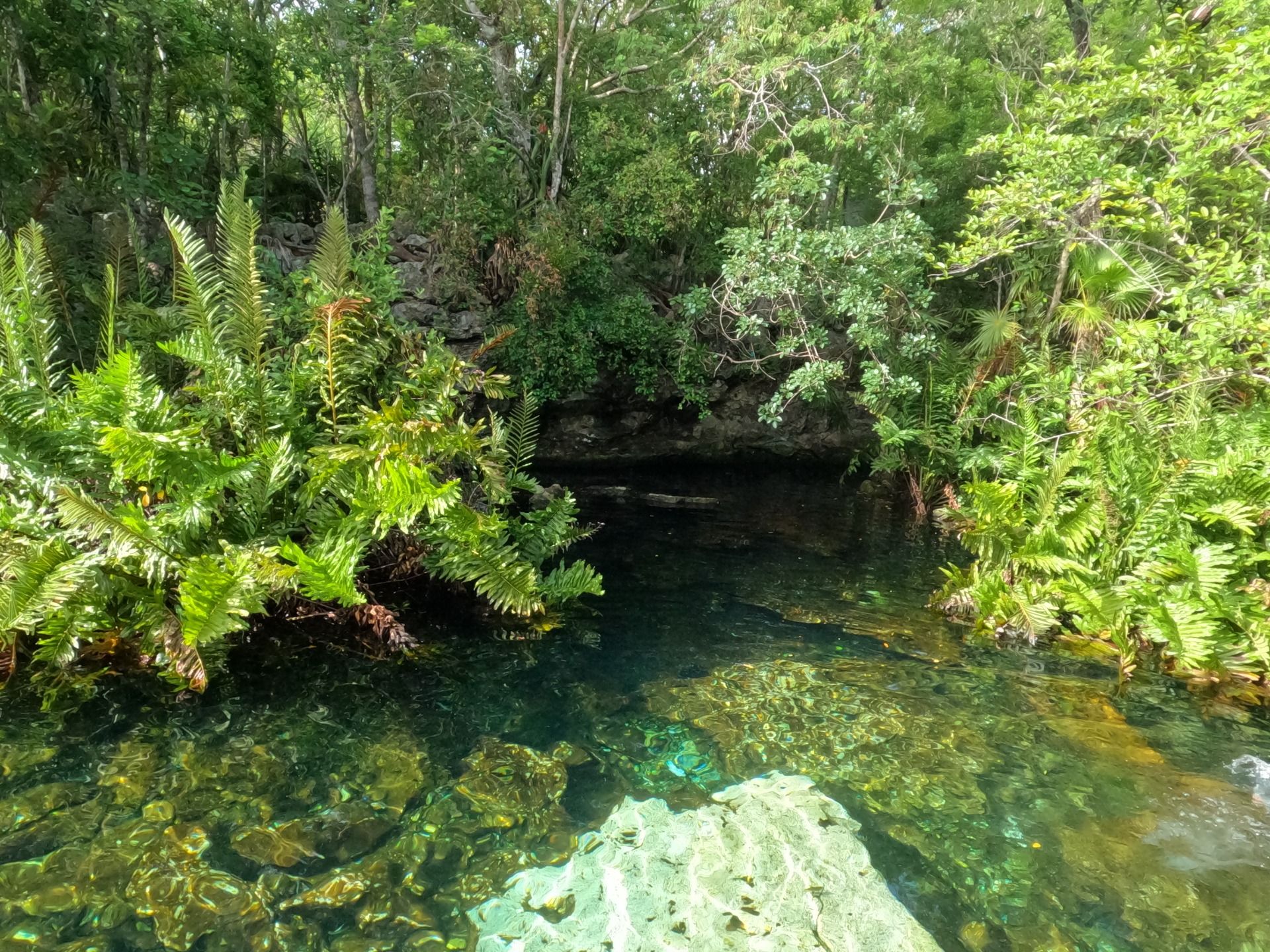 Beautiful Places in Mexico: Cenote Azul in Puerto Aventuras