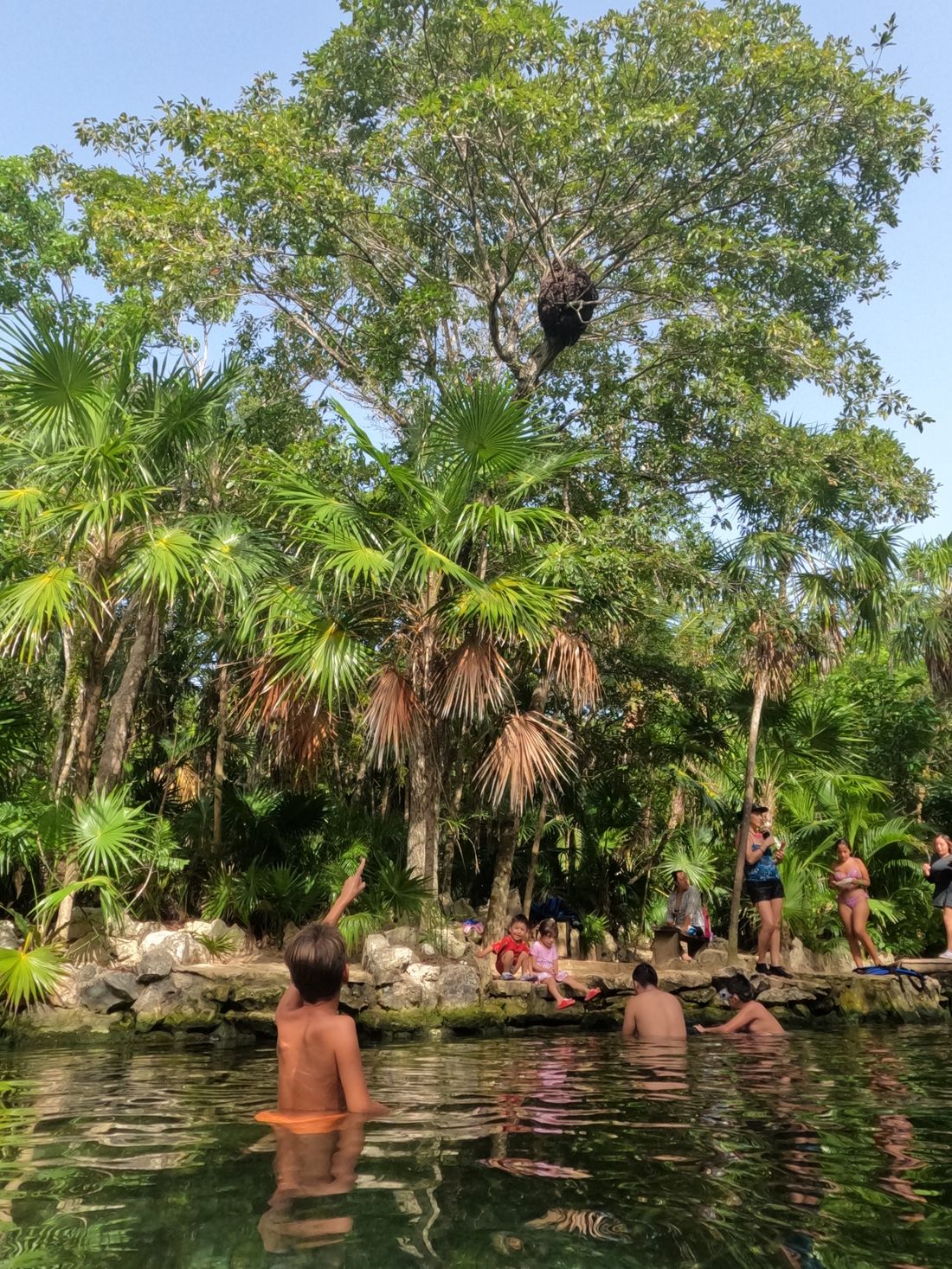 Here, my son was pointing out a termite’s nest high up in the tree. Amazing!