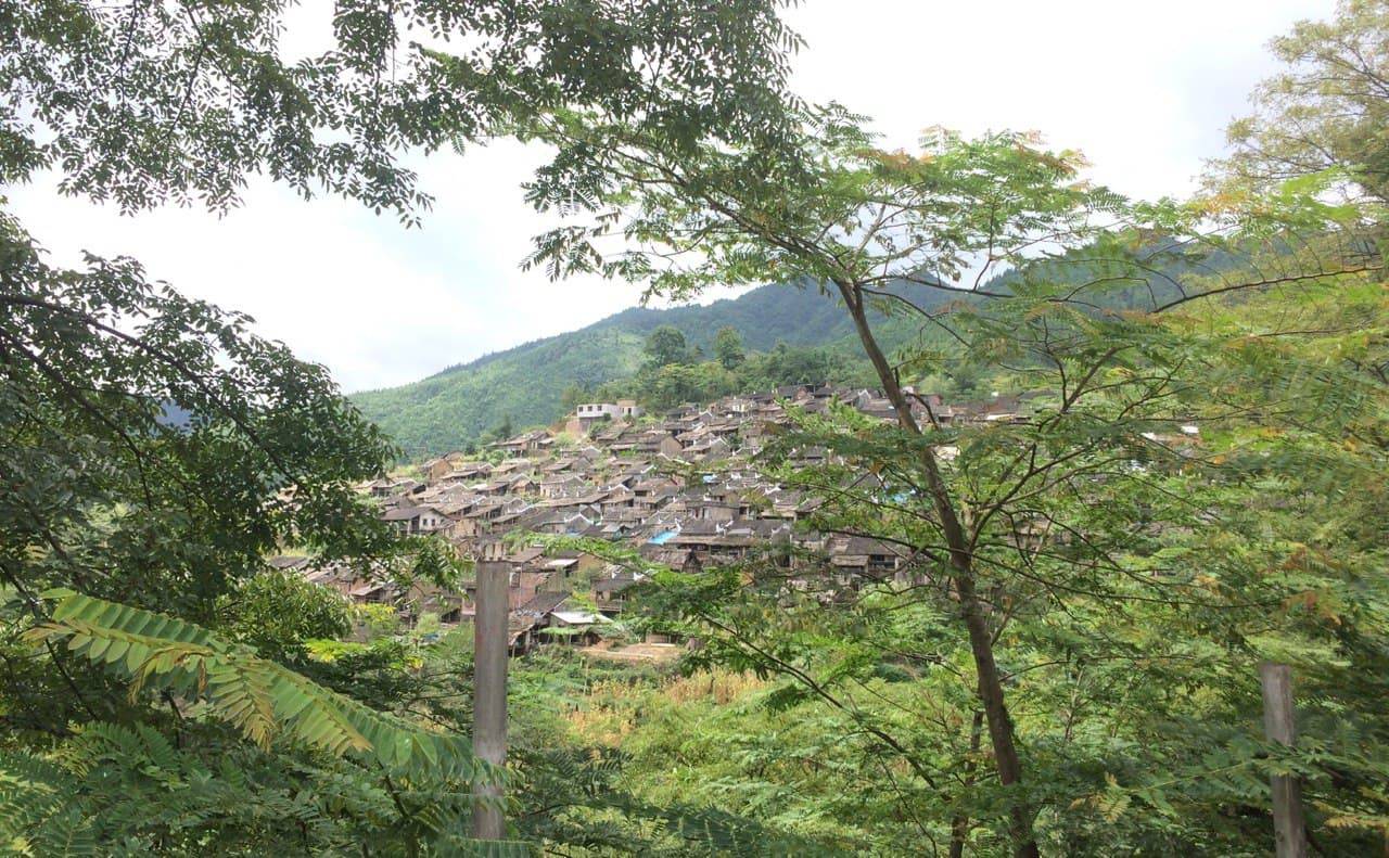 Yao village. We walked up to the mountains where they live.