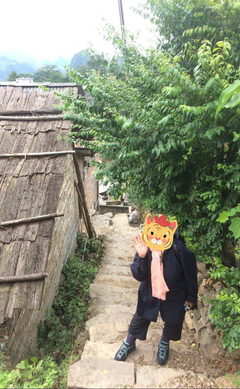 They use wooden barks for rooftops and the Japanese use the same in the countryside in Japan too.