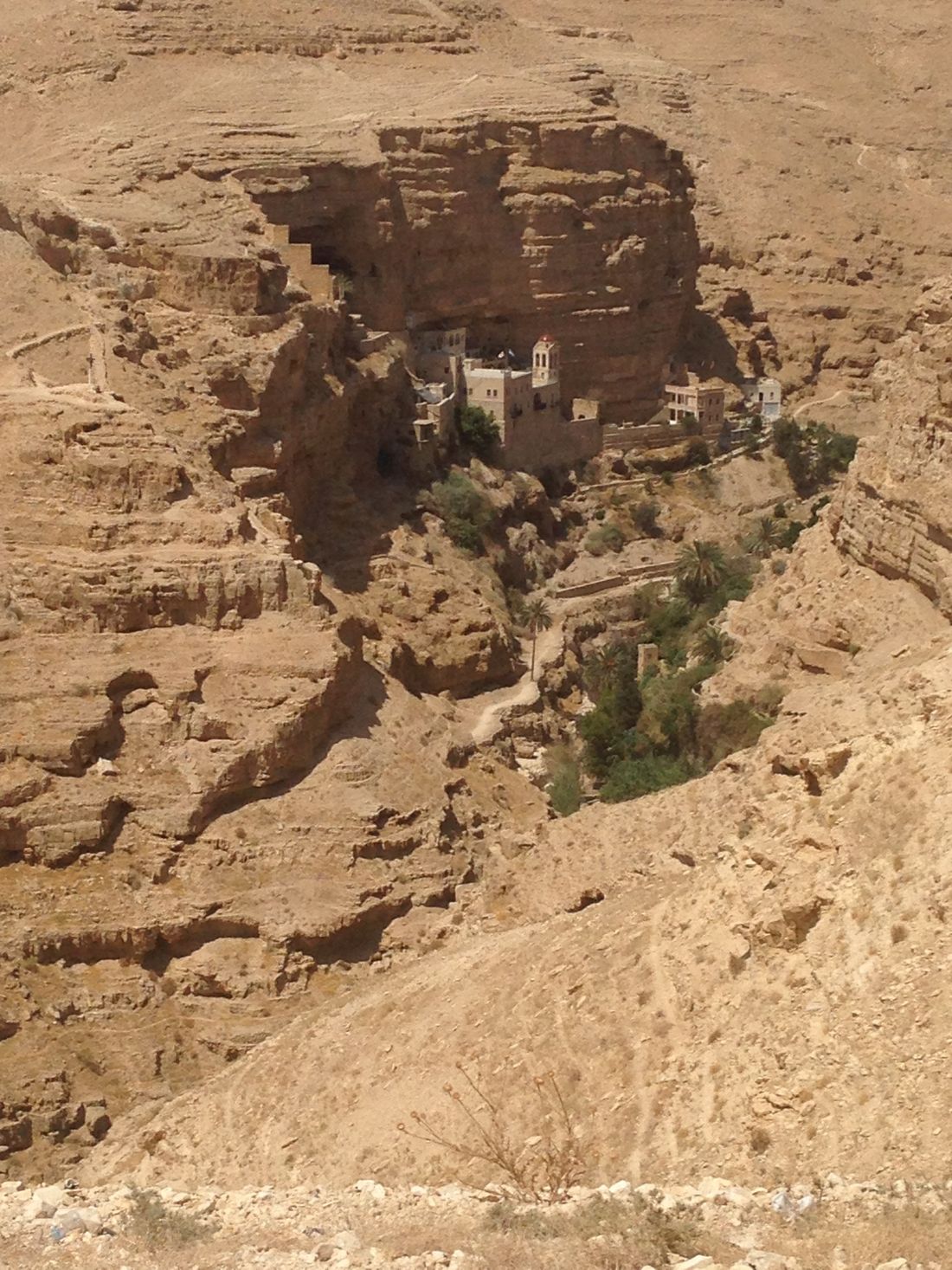 They built a monastery in the desert. It was very unbelievable that they live in such harsh weather! I saw some horses/donkeys (maybe) carrying some goods to the monastery when we visited there.
