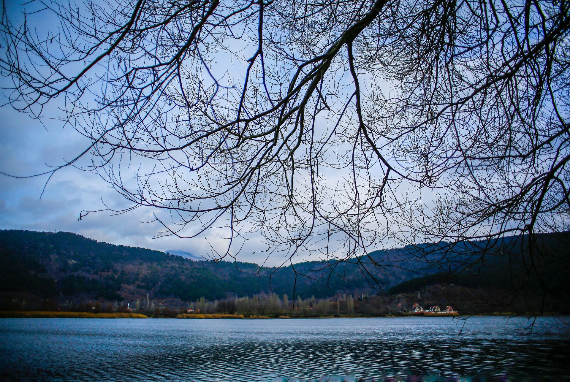 _02A6290.JPG