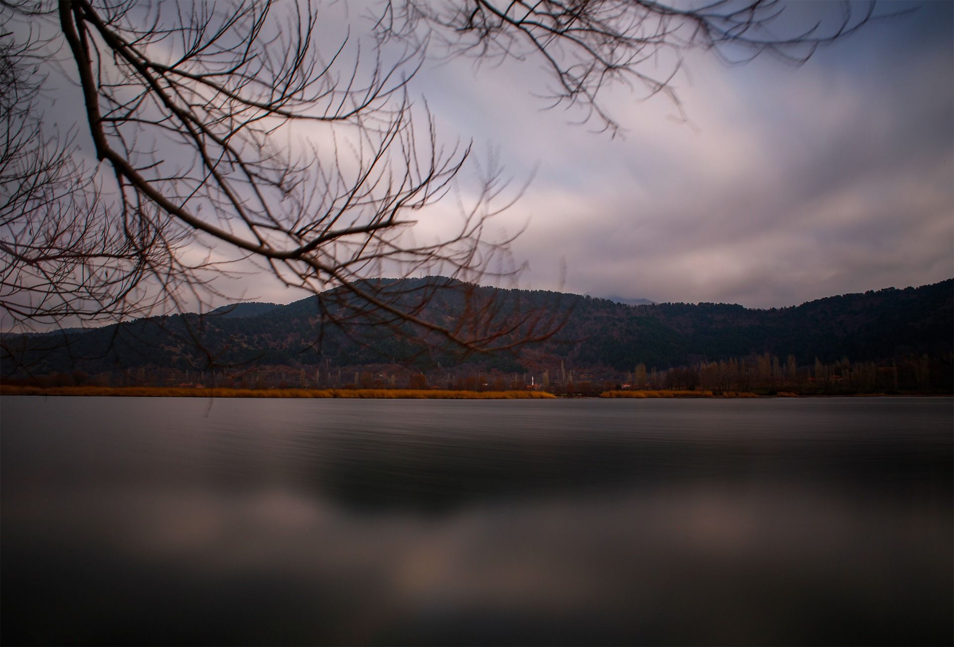 _02A6338.JPG