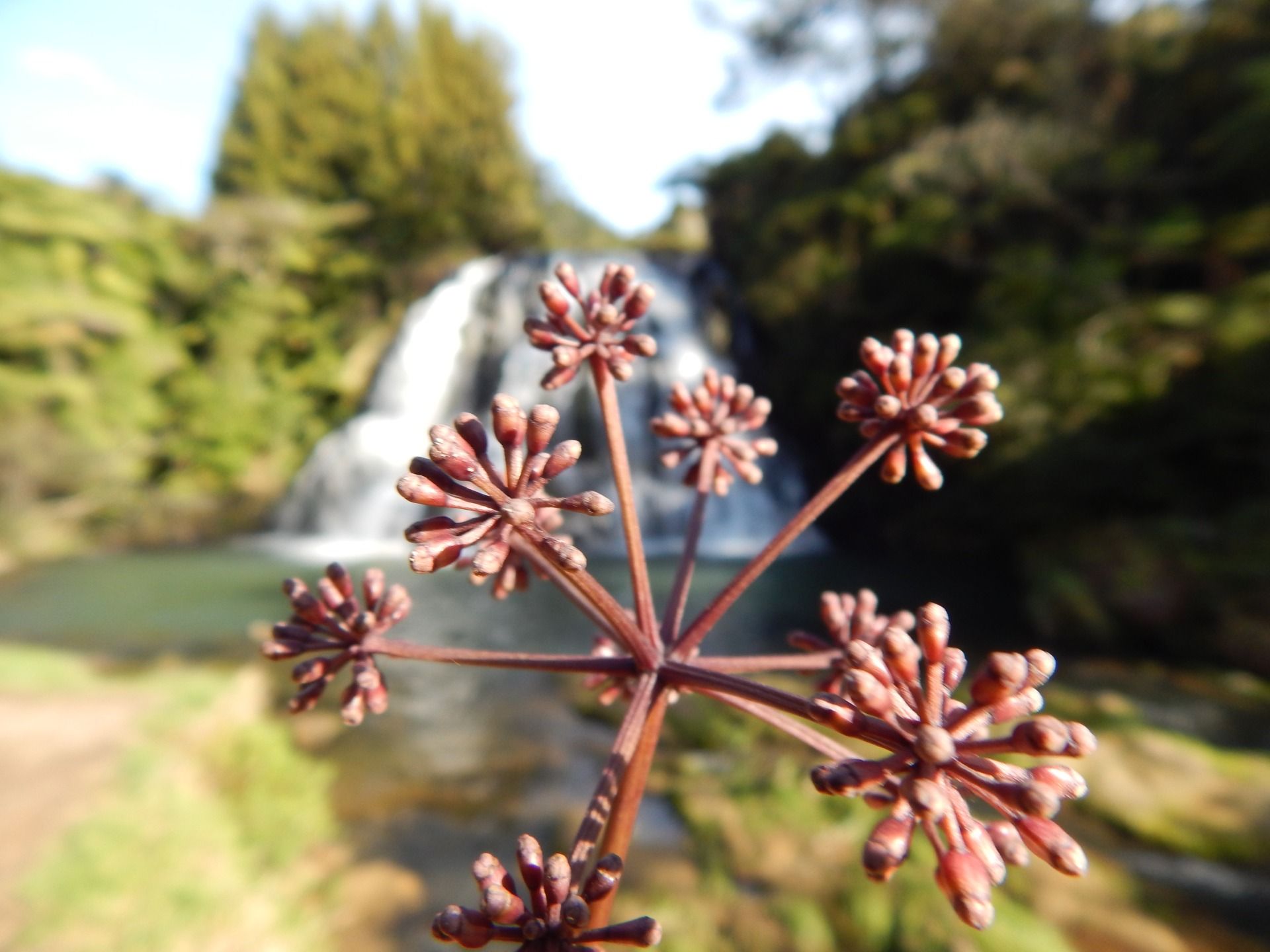 Karangahake Gorge - Through waterfalls and lost railways