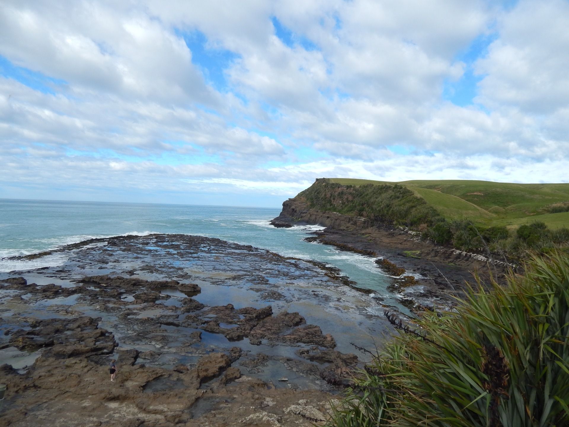 Curio Bay petrified forest. The beautiful view from the road toward the bay, the sight of the pools unraveling from the green fields is something do be witnessed.