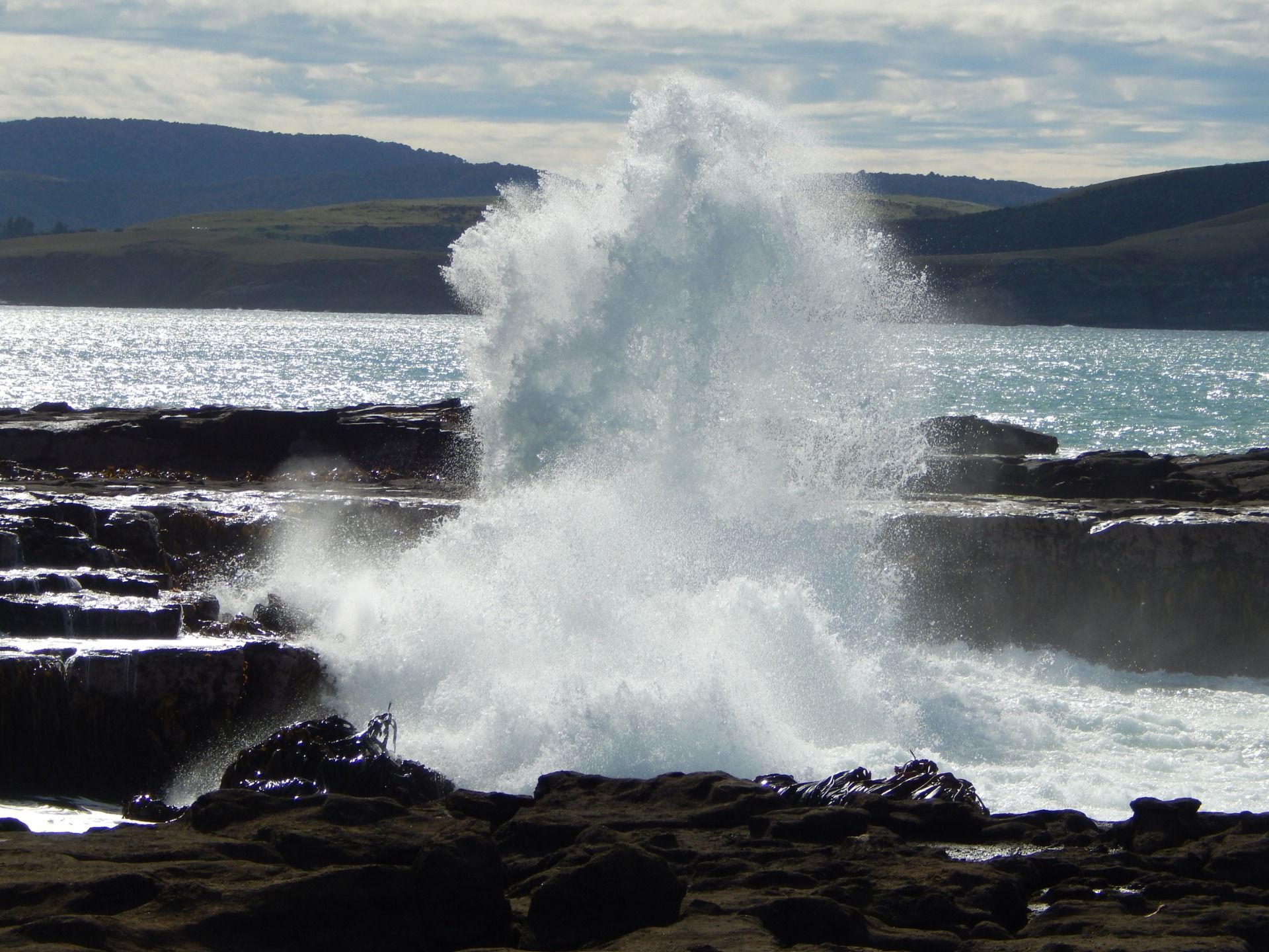 Curio Bay - The petrified forest in The Catlins [New Zealand]