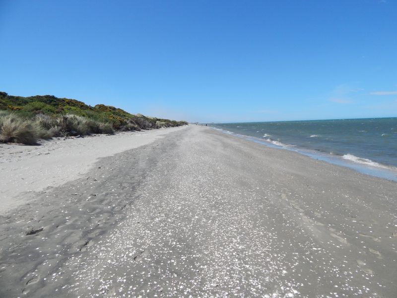 Farewell Spit - South Island farthest North