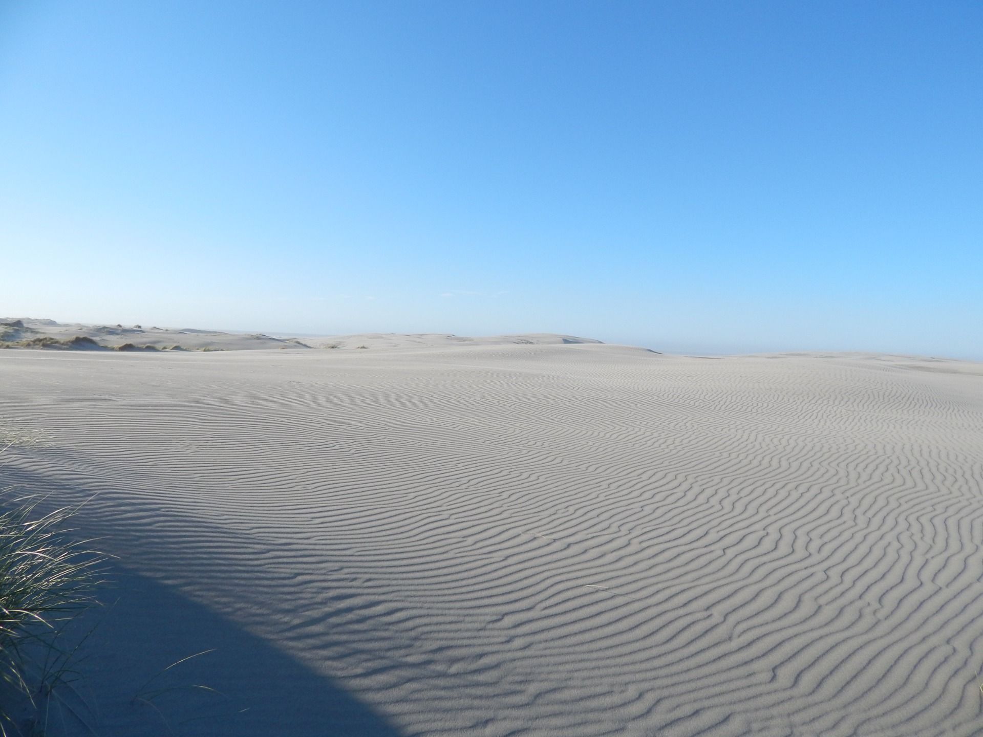 Farewell Spit - South Island farthest North