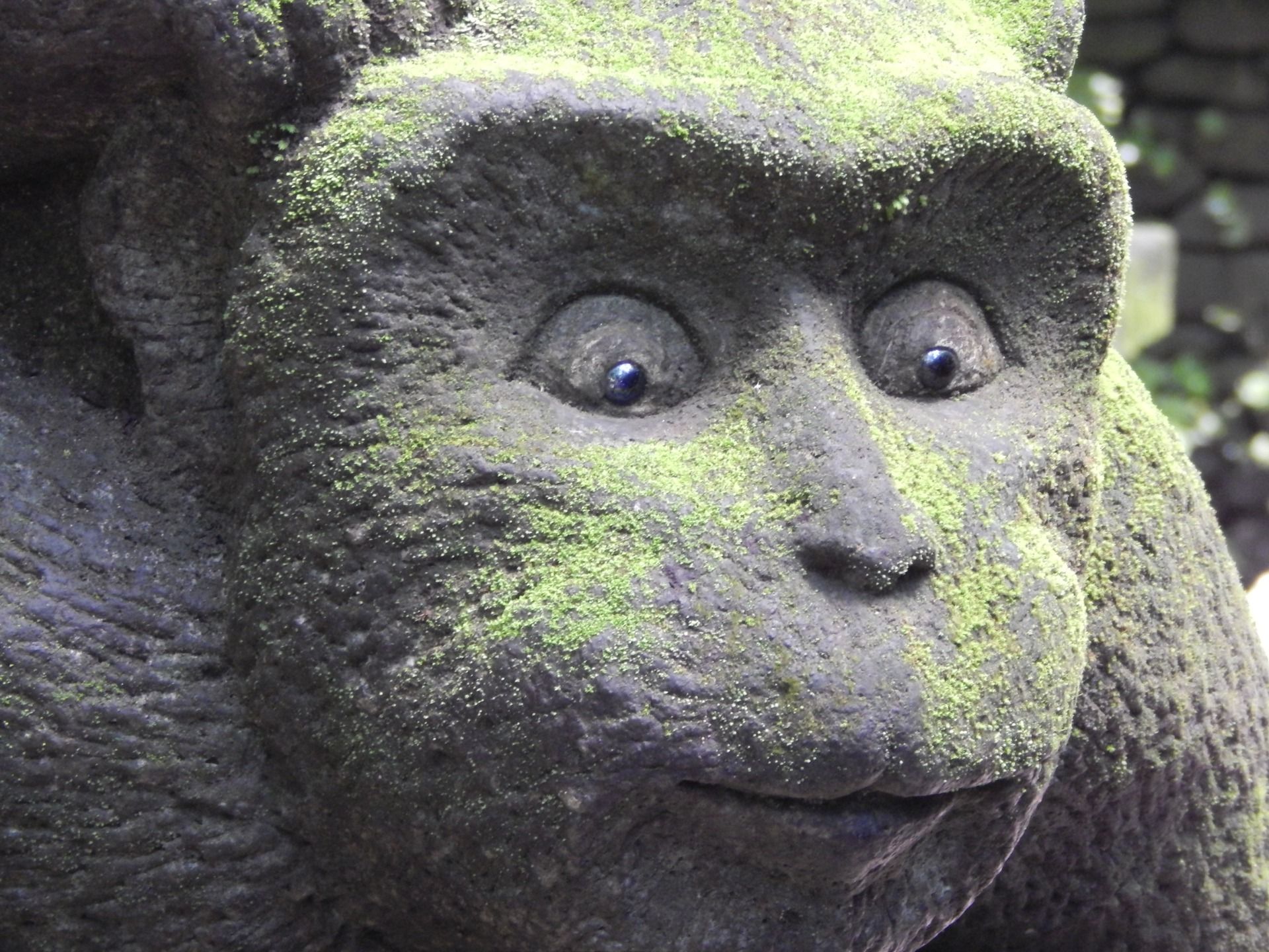 Ubud and the Monkeys - Mandala Suci Wenara Wana