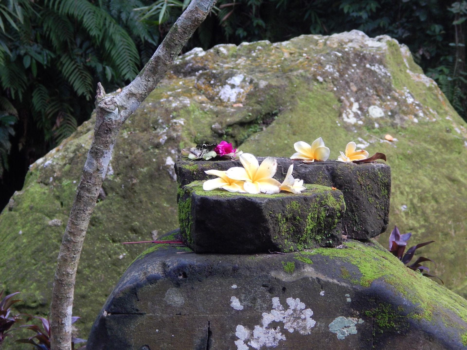 Balinese people offer flowers and ordinary things in shrines or other places