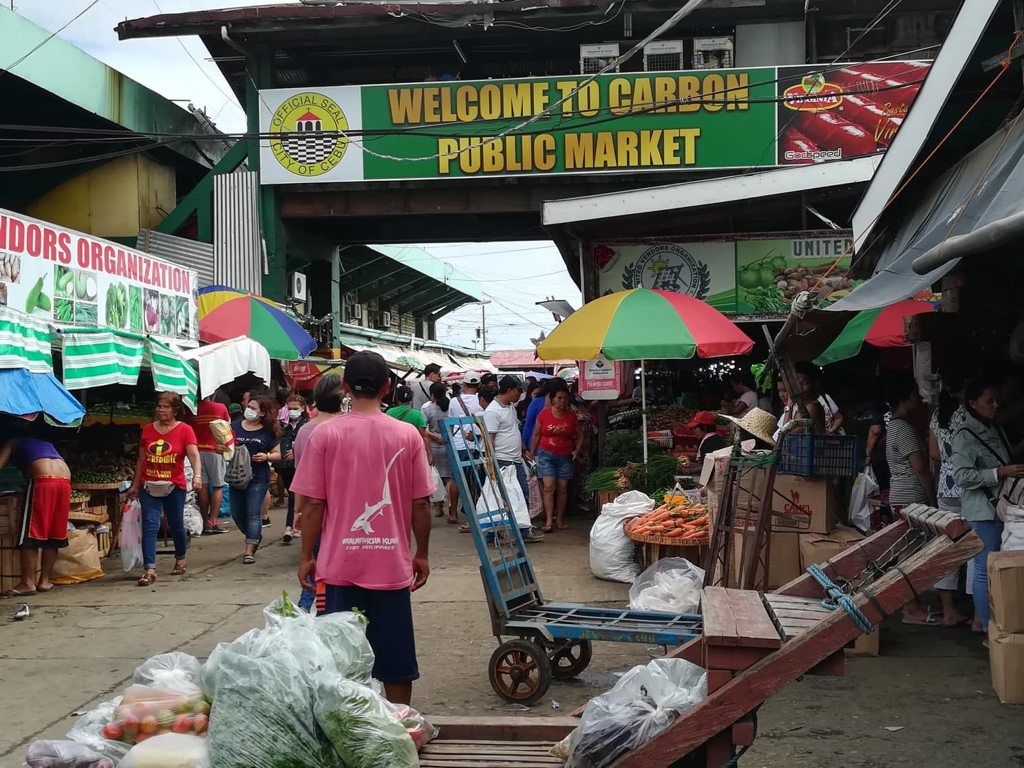 CARBON MARKET