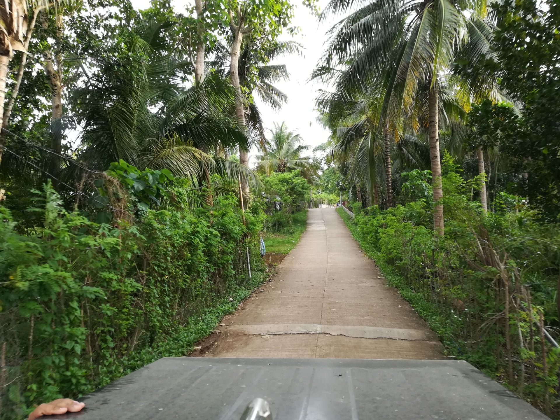 road to the beach