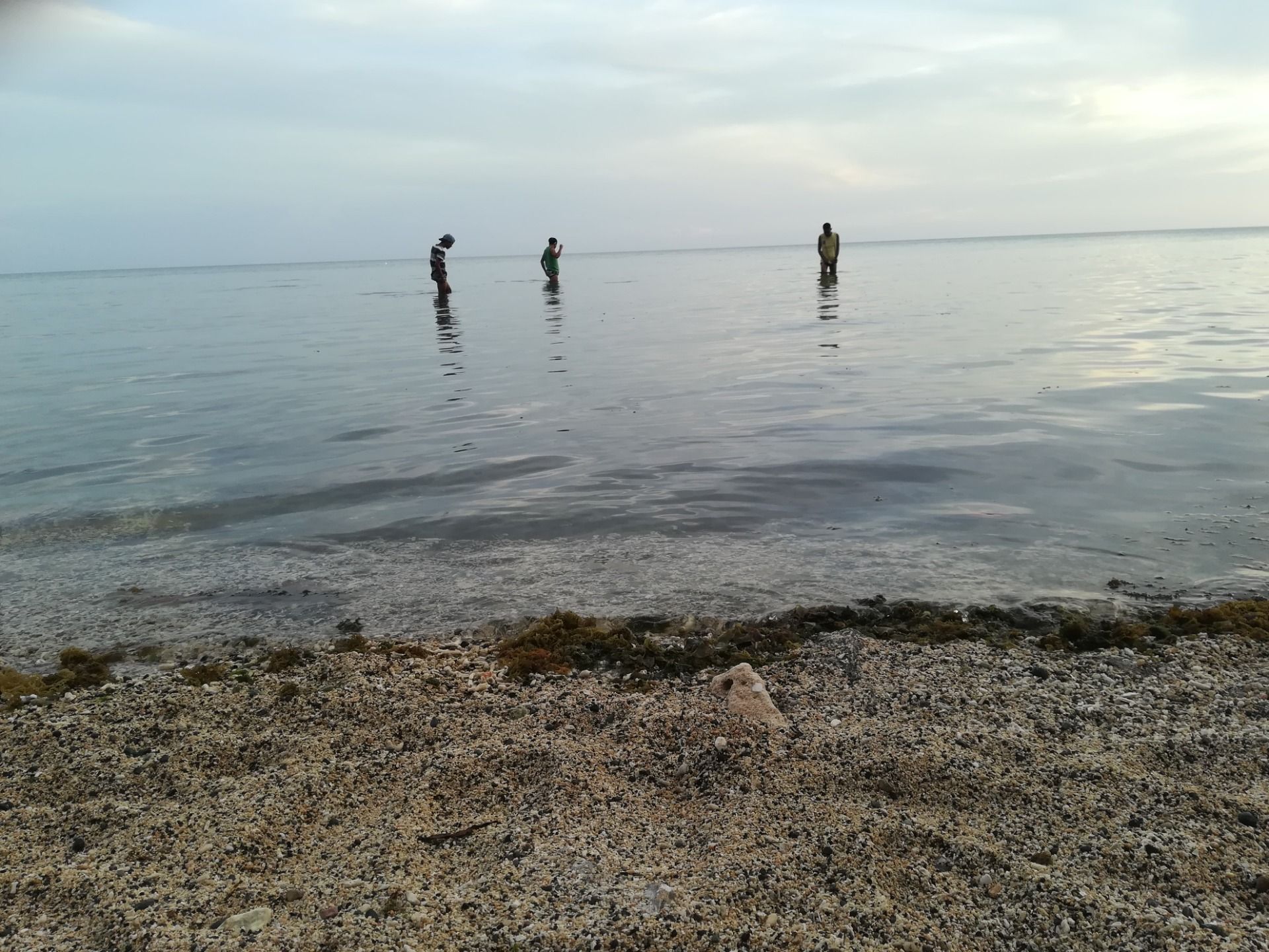 view of the sea in the beach