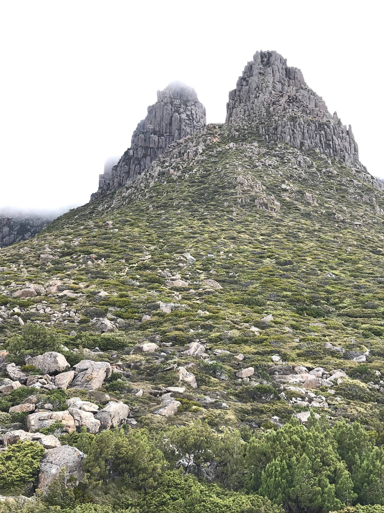 Climbing Mount Ossa (Tasmania travels)